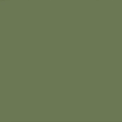 25 Verde Oliva